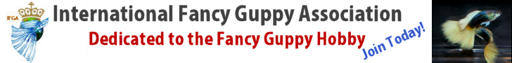 International Fancy Guppy Association