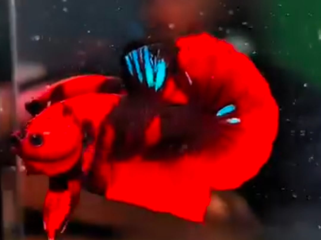 Hellboy Classic