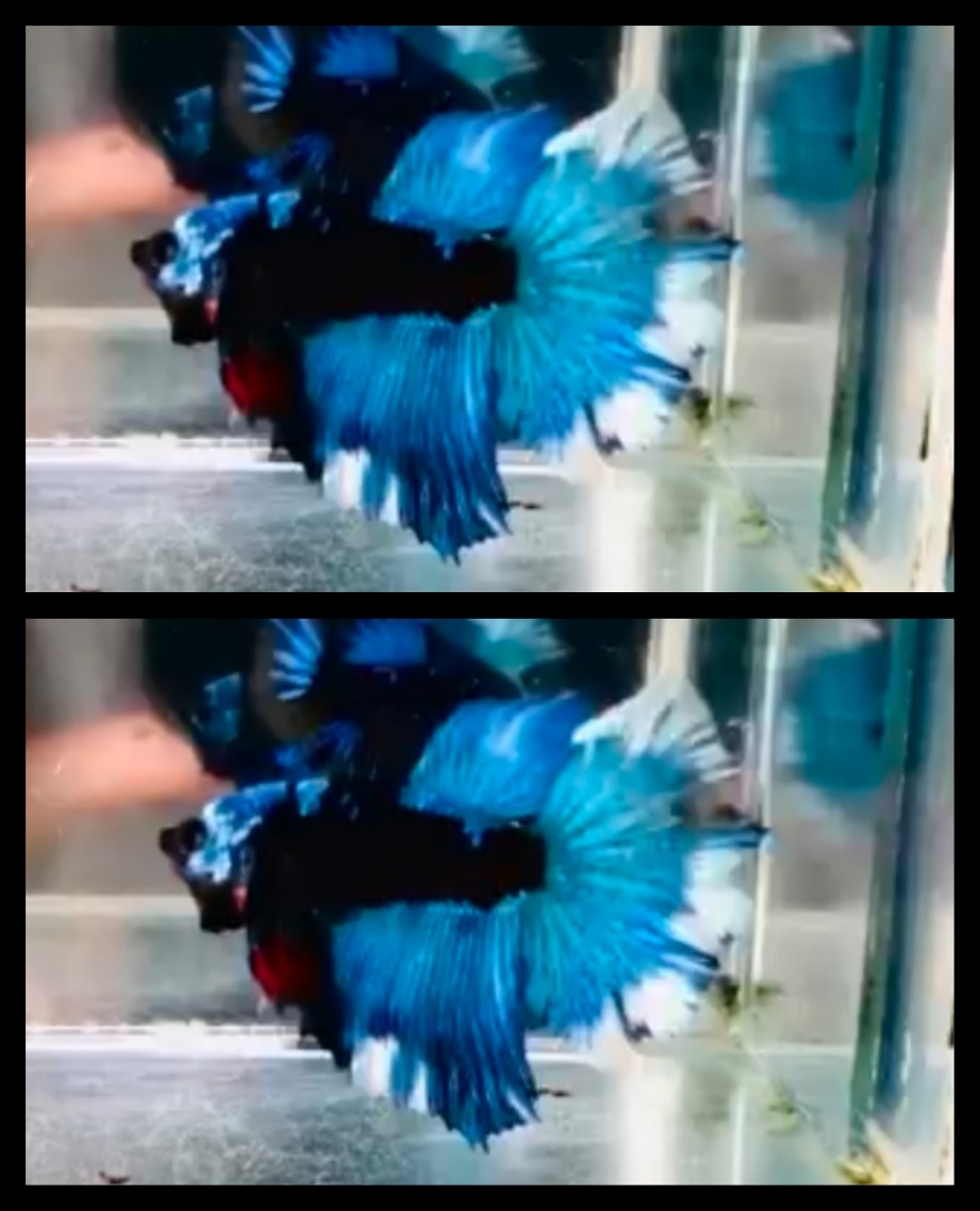 Black Blue Mask
