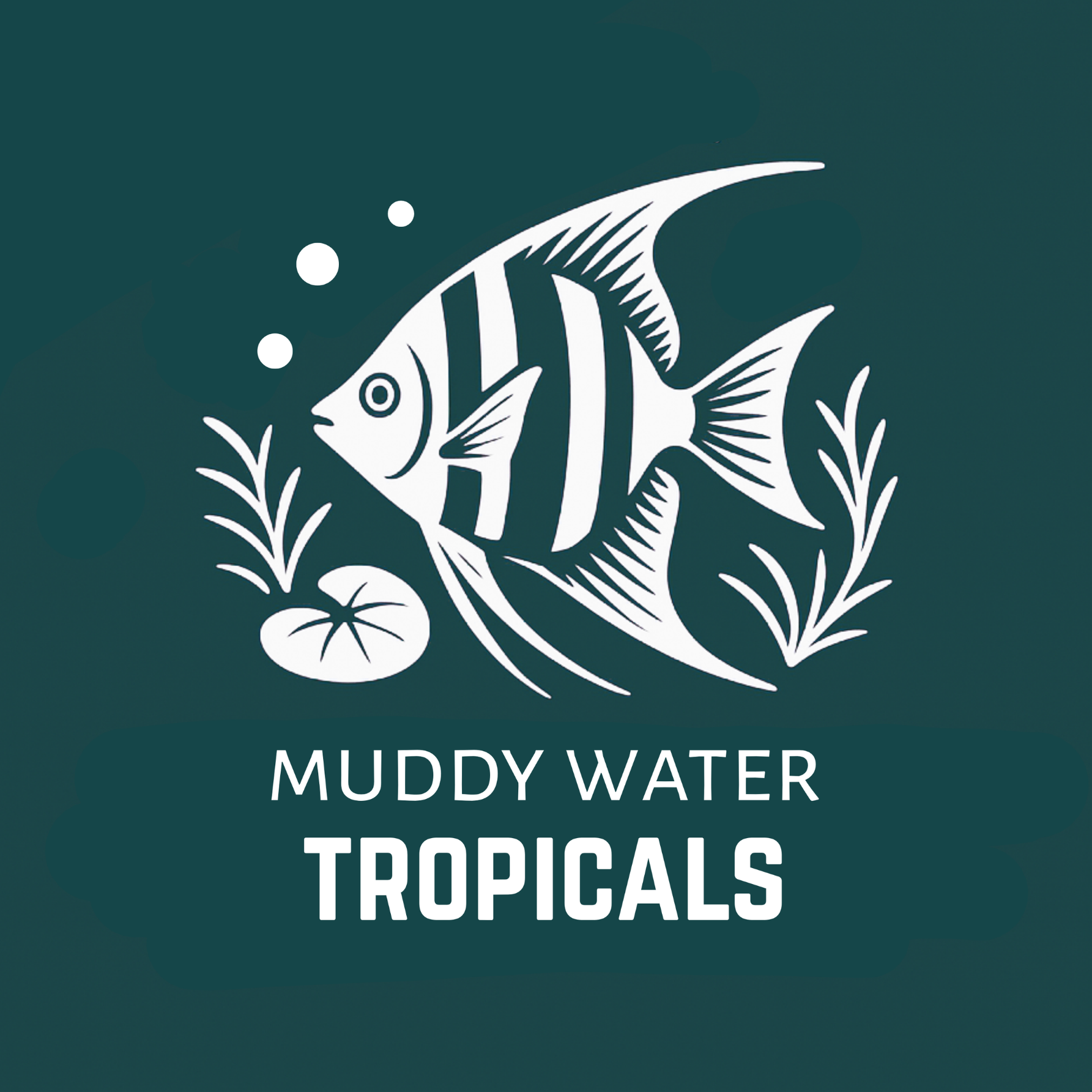 Store: Muddy Water Tropicals