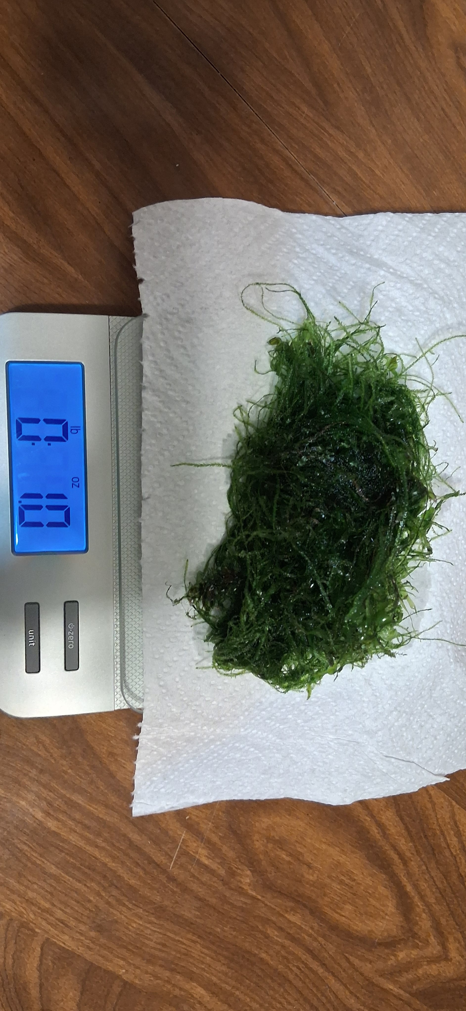 1oz of java moss & free shipping