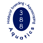 Store: 388 Aquatics