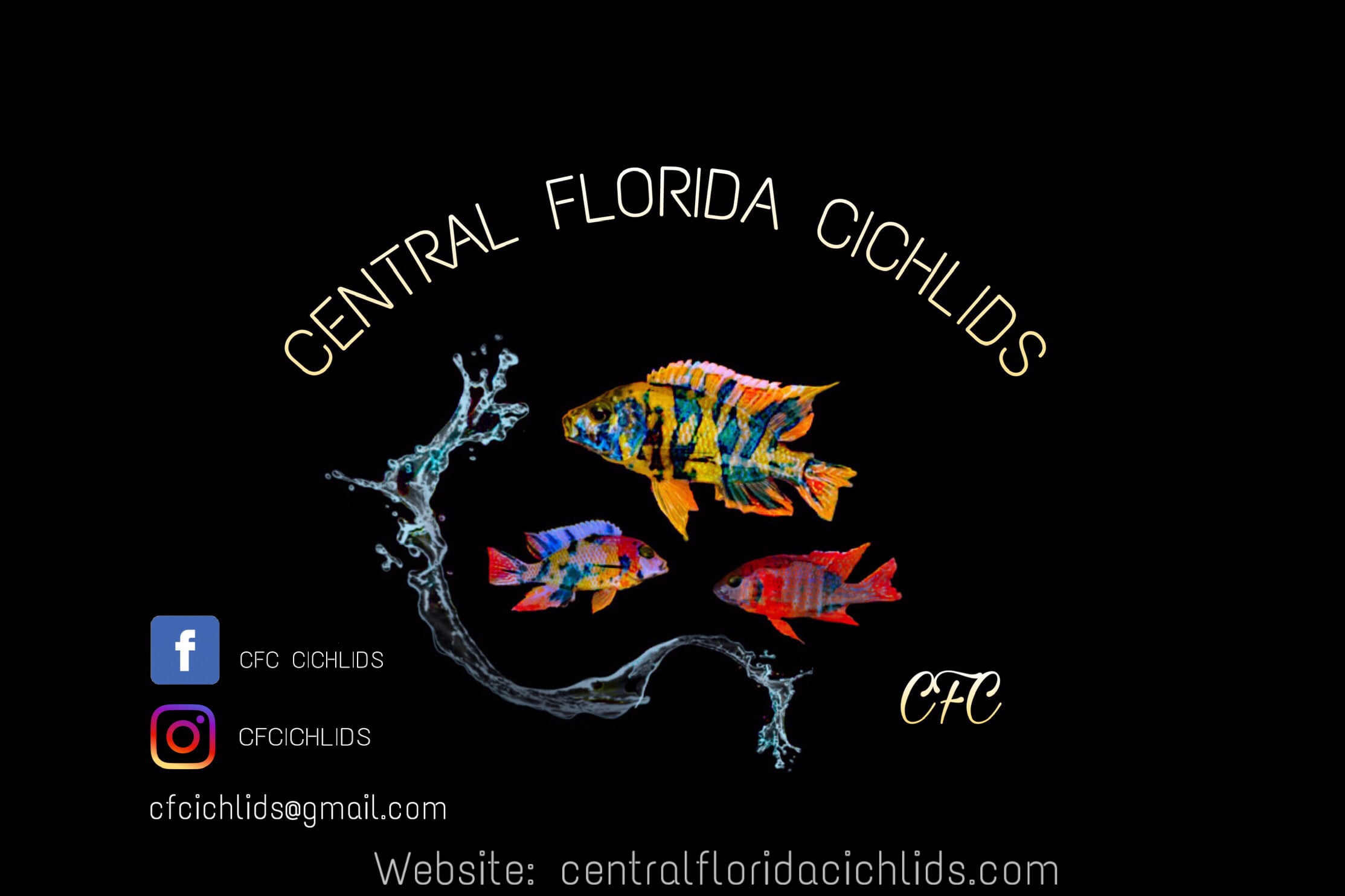 Store: Central Florida Cichlids