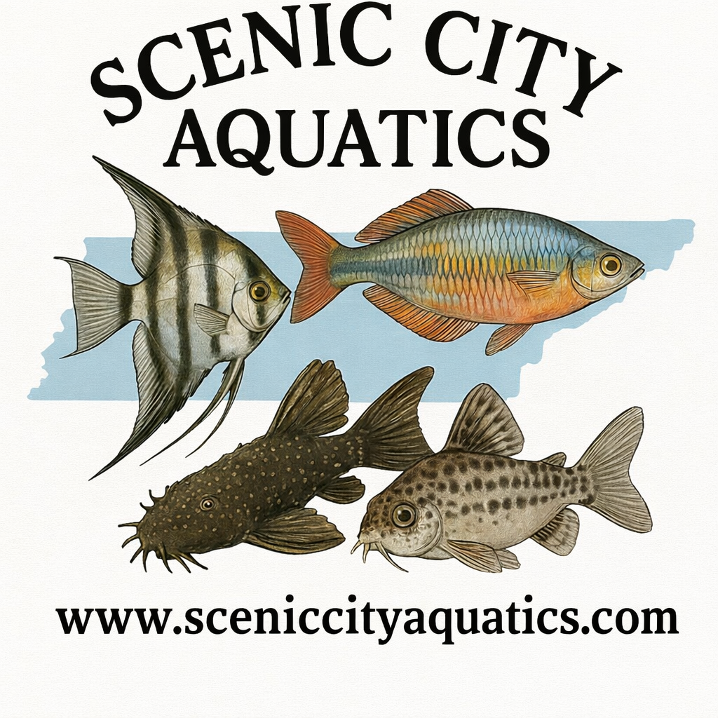 Store: Scenic City Aquatics