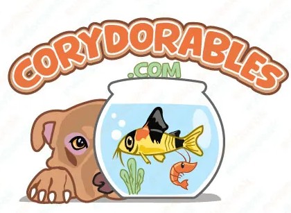 Store: Corydorables