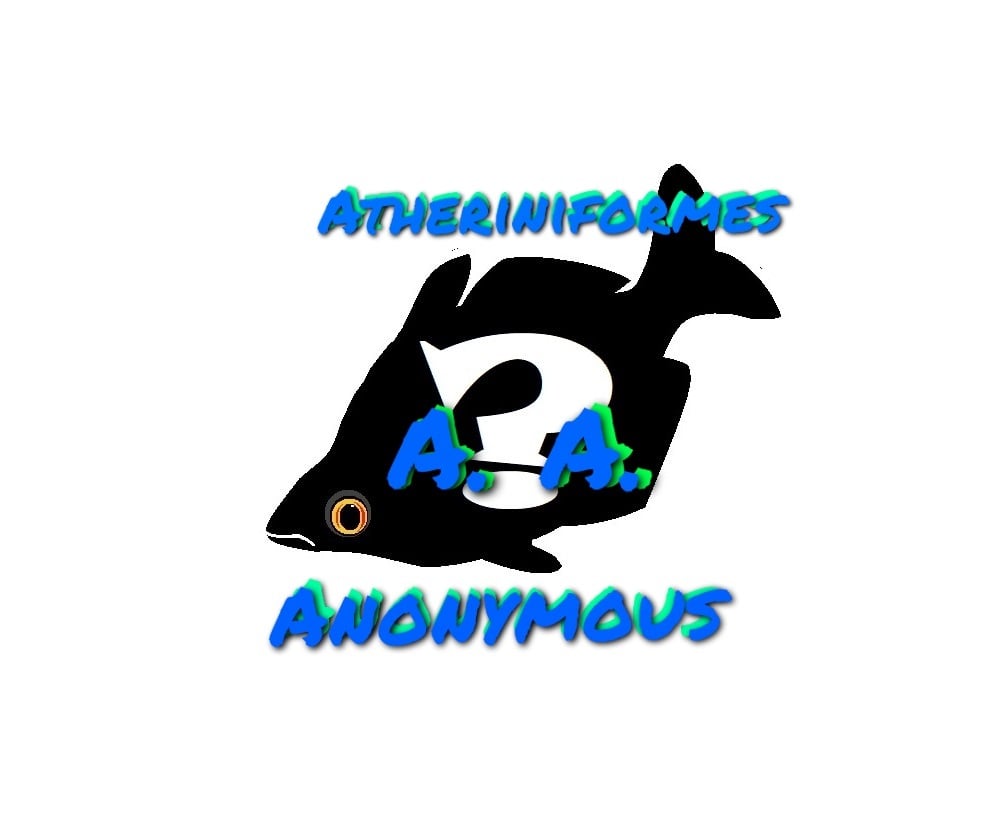 Store: AthAnon1347
