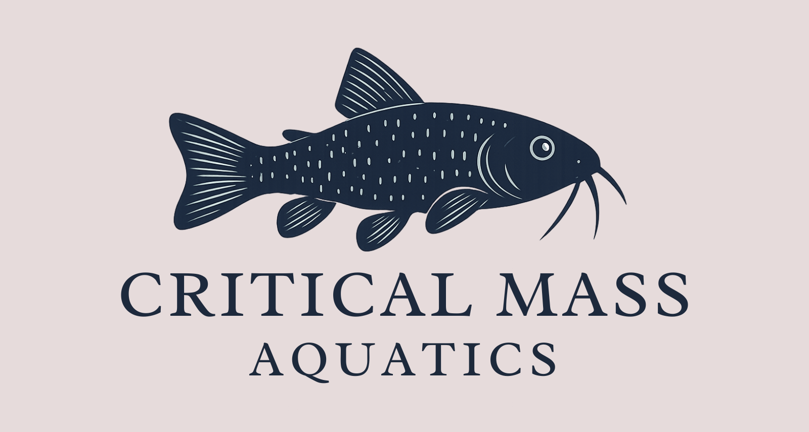 Store: Critical Mass Aquatics