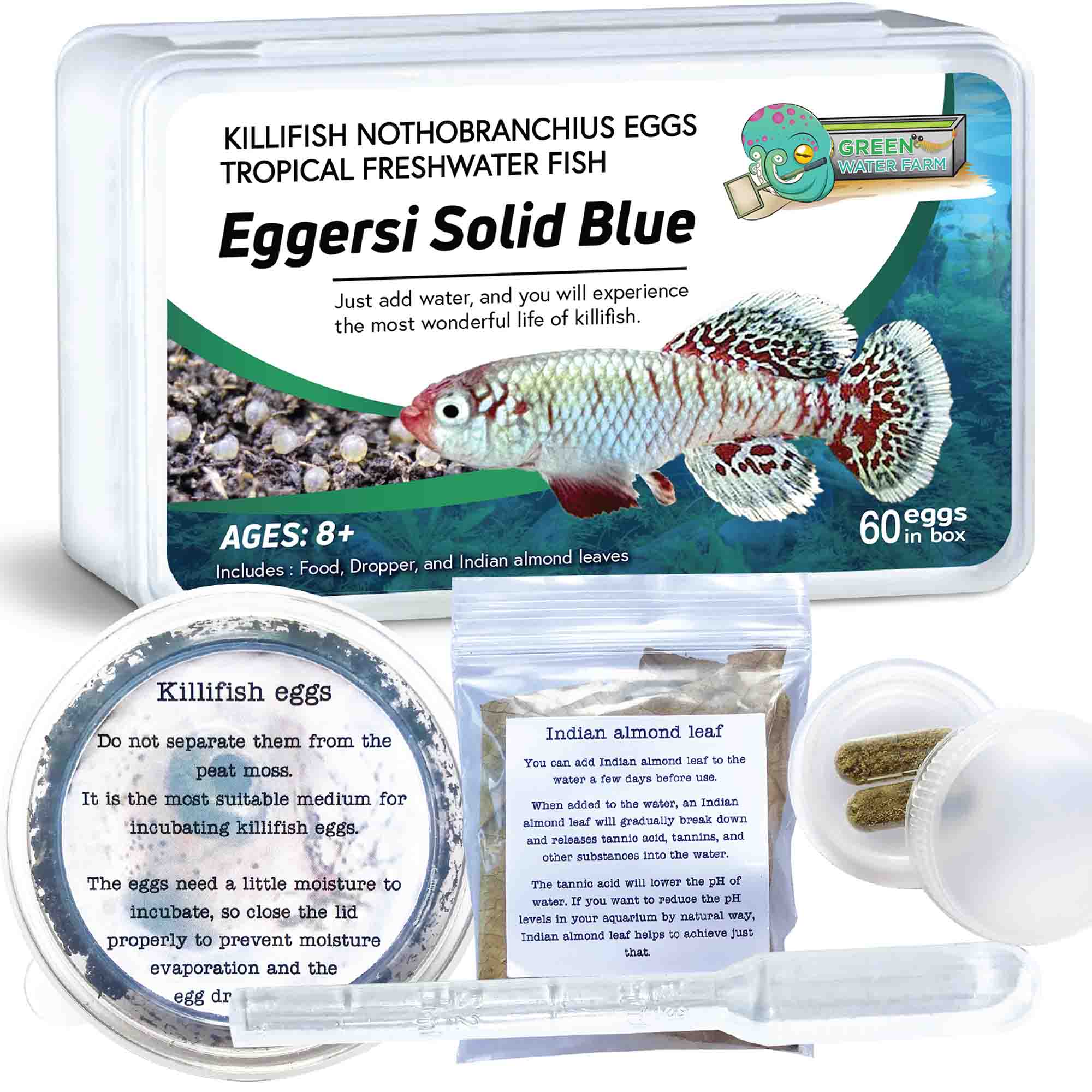Nothobranchius Eggersi Solid Blue 60 eggs + food
