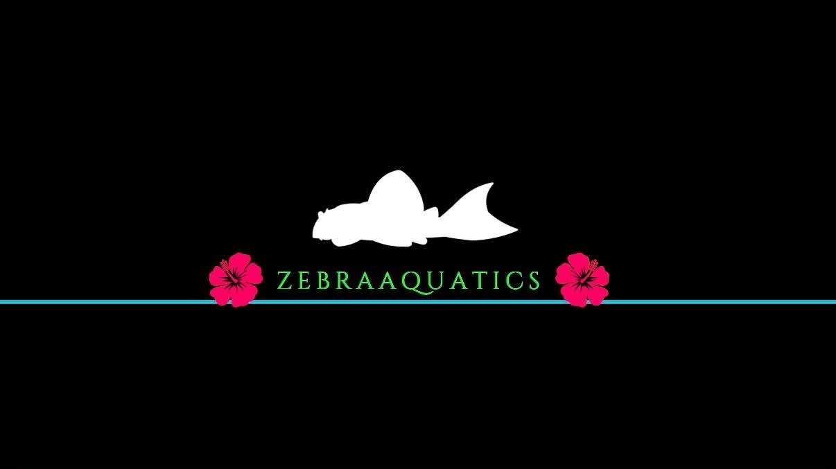 Store: ZebraAquatics