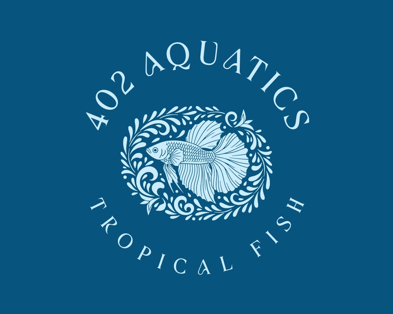 Store: 402aquatics
