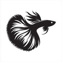 Store: JK_Aquatics