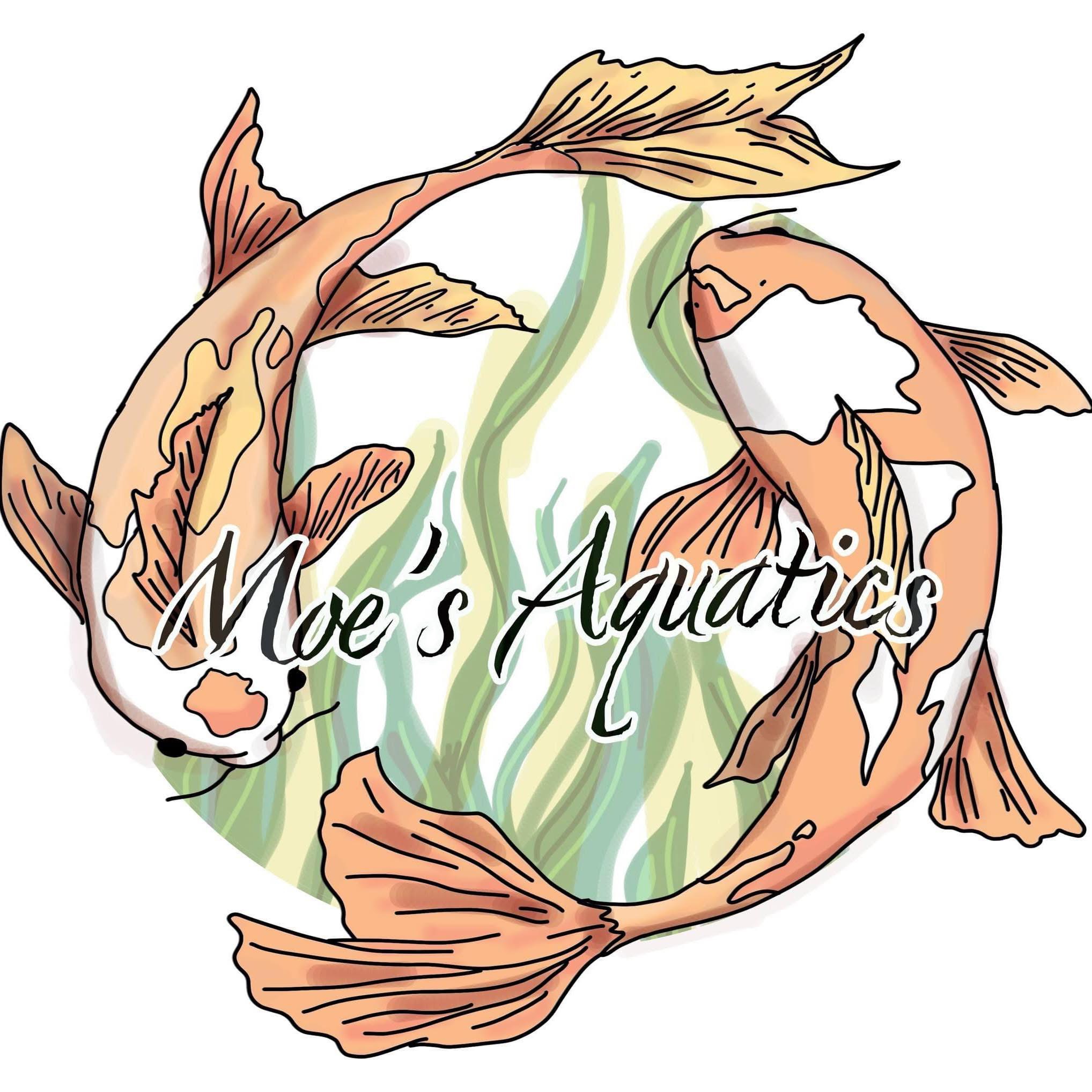 Store: Moe’s Aquatics