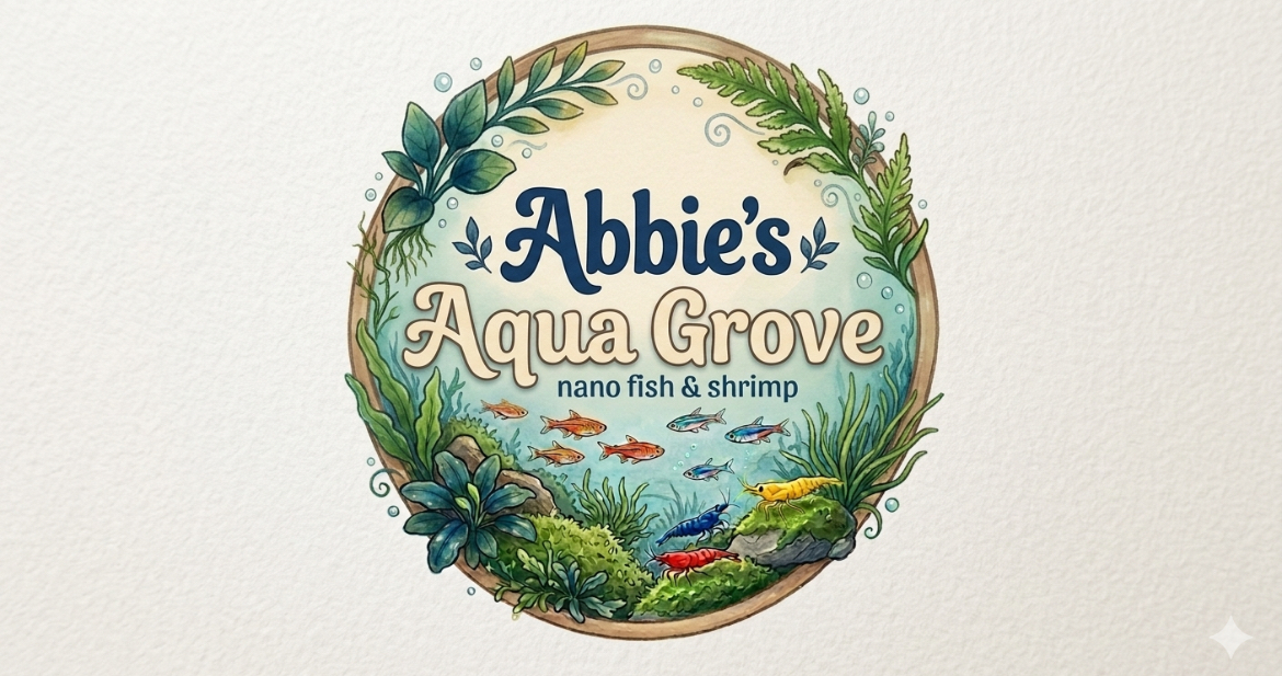 Store: Abbie’s Aqua Grove