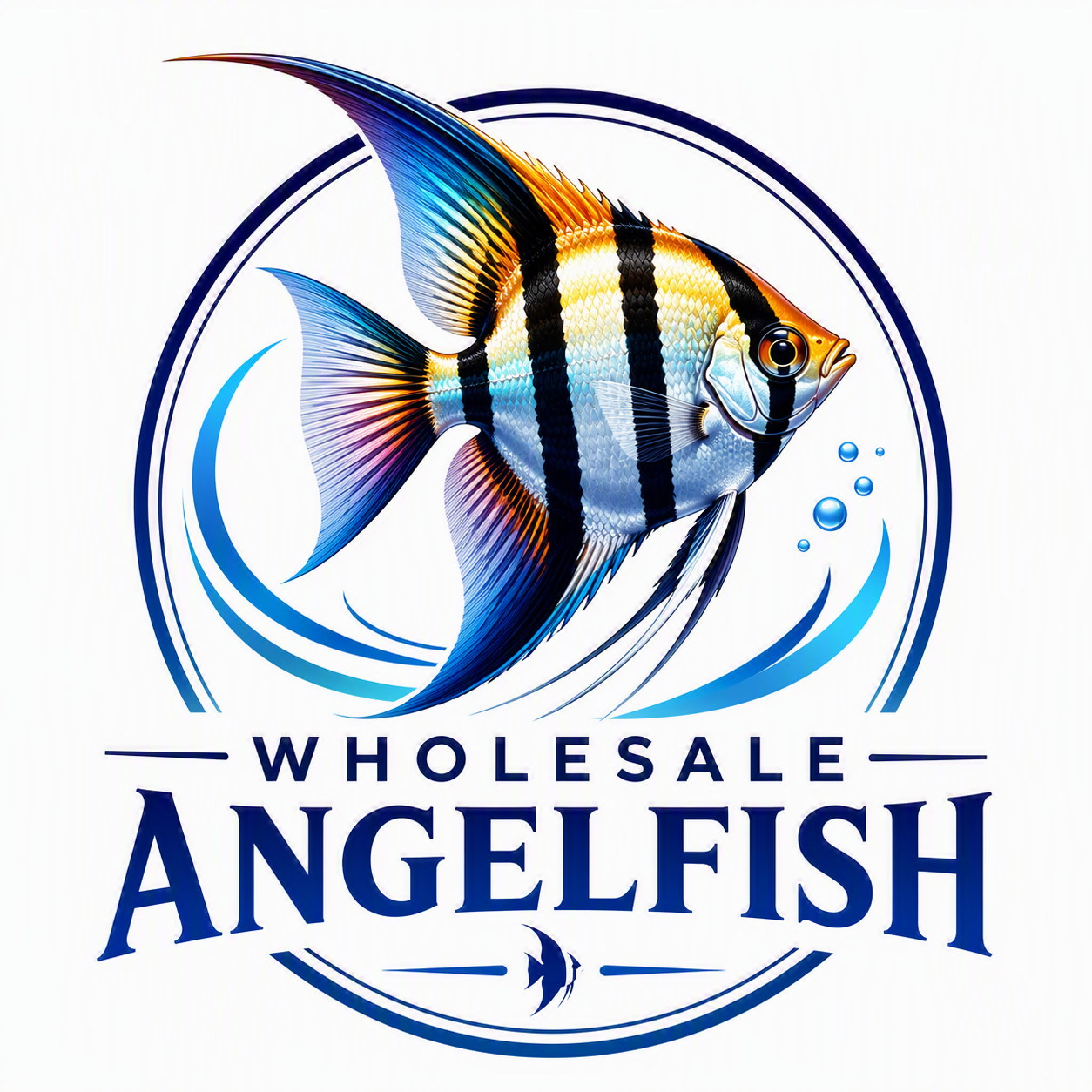 Store: Wholesale Angelfish