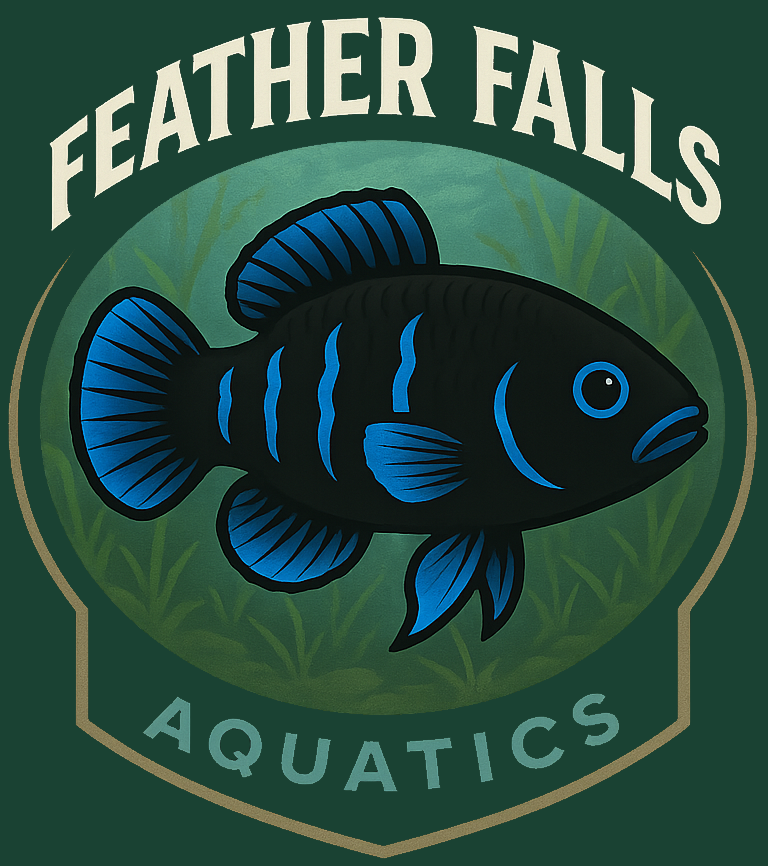 Store: Feather Falls Aquatics