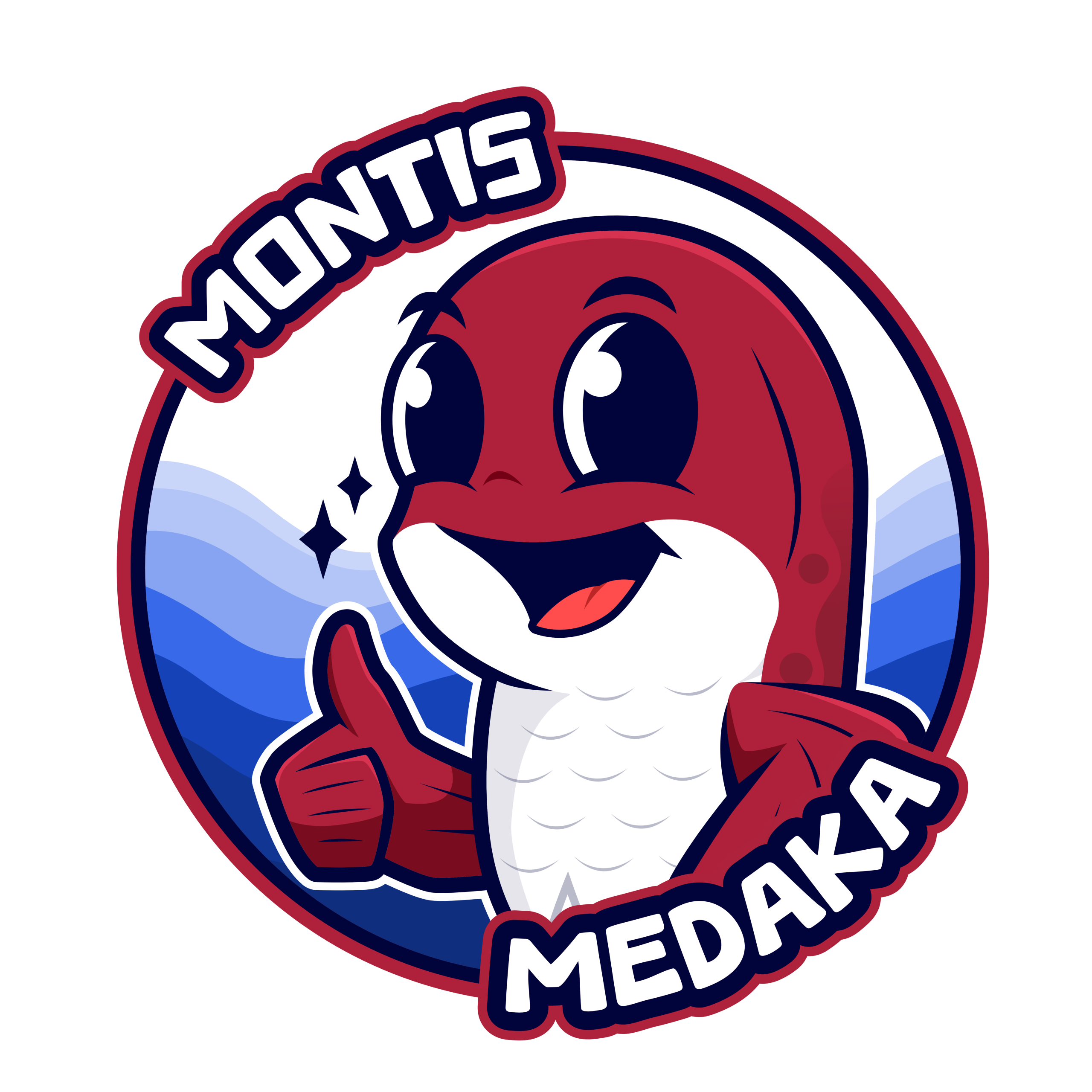 Store: Montis Medaka