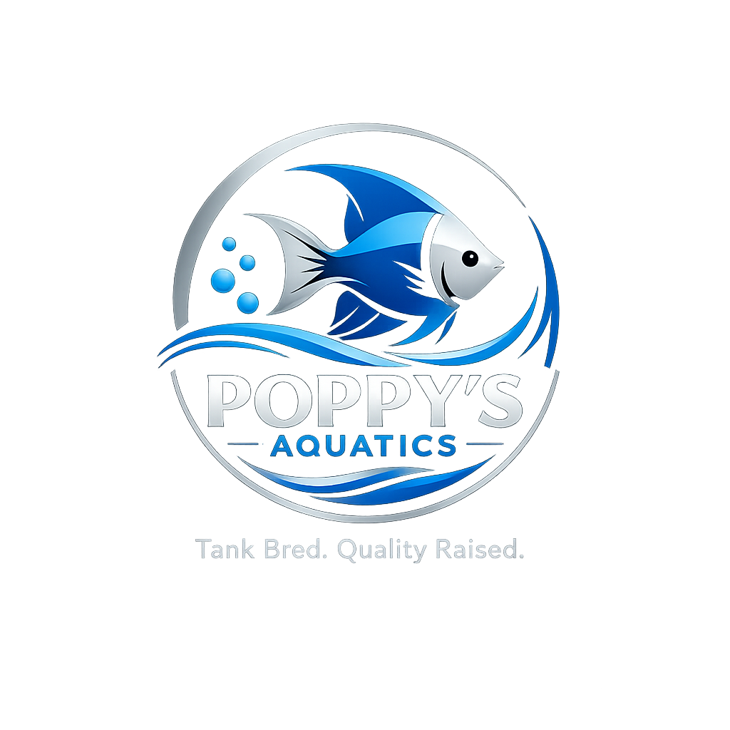 Store: Poppy's Aquatics