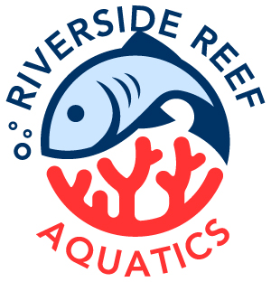 Store: Riverside Reef Aquatics