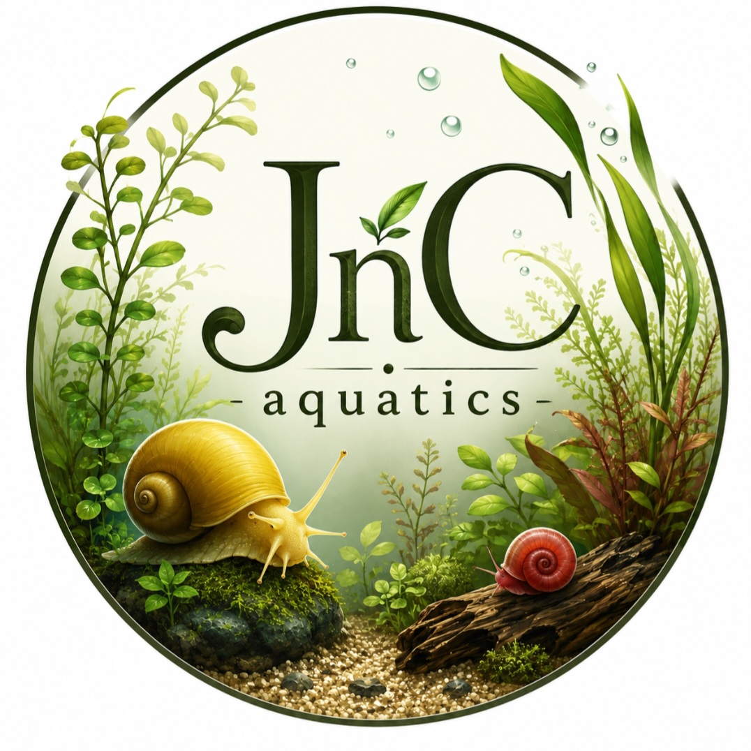 Store: JnC aquatics