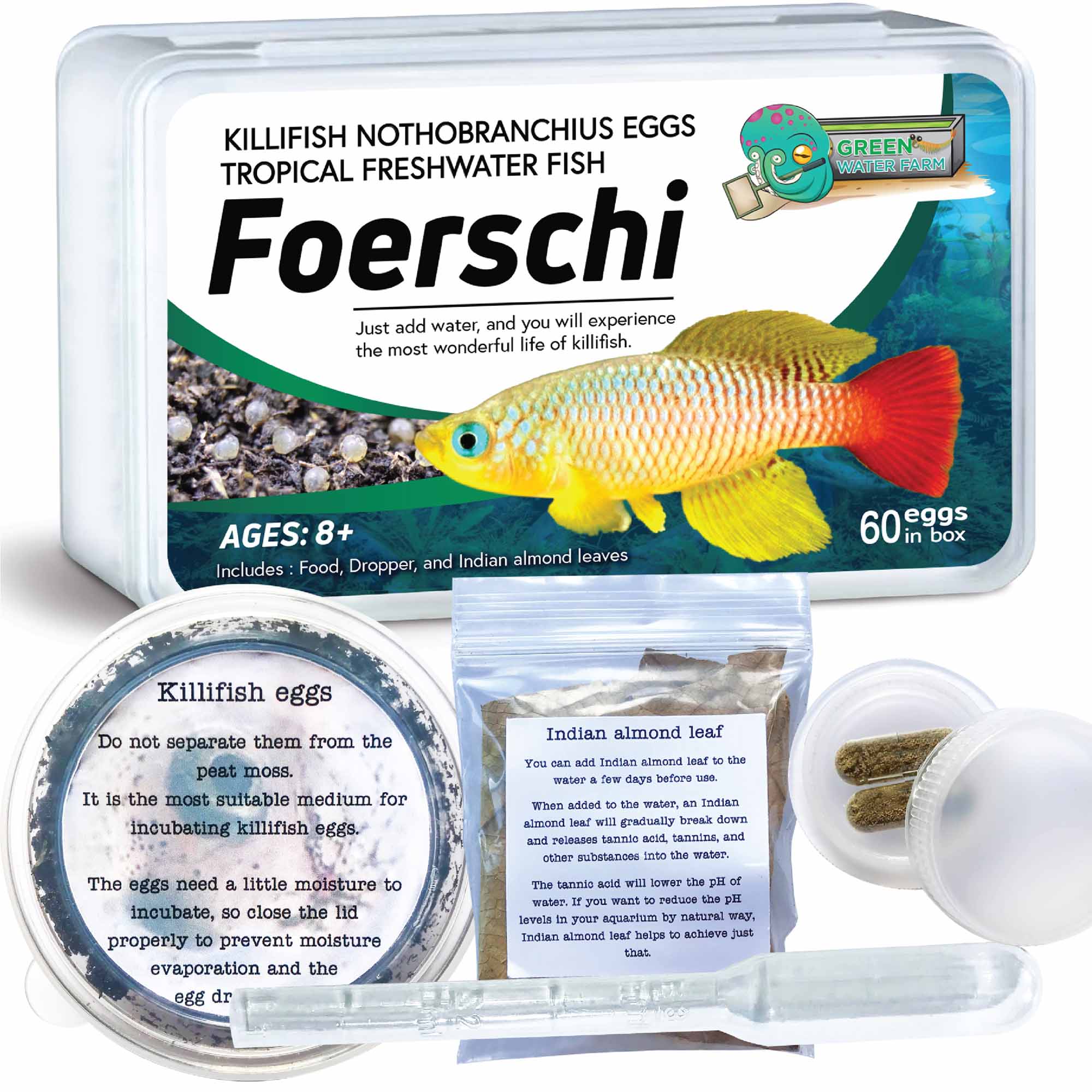 Nothobranchius Foerschi 60 eggs + food