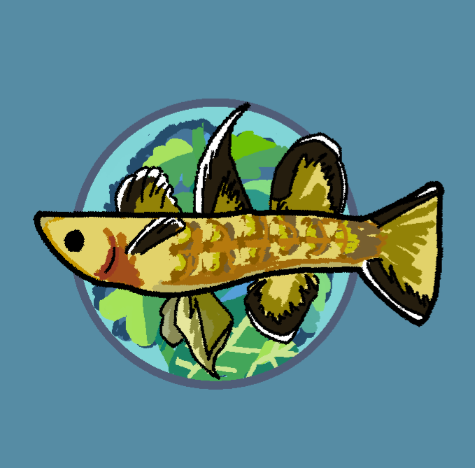 Store: Hidden Trove Aquatics