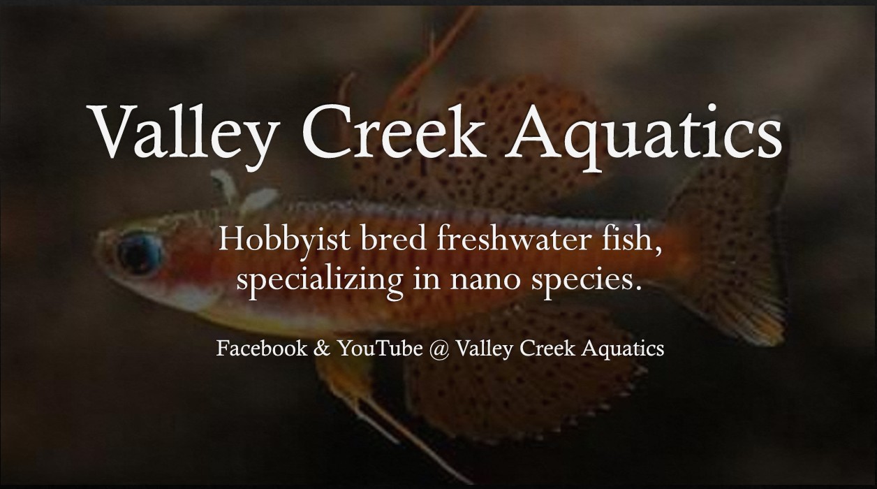 Store: Valley Creek Aquatics