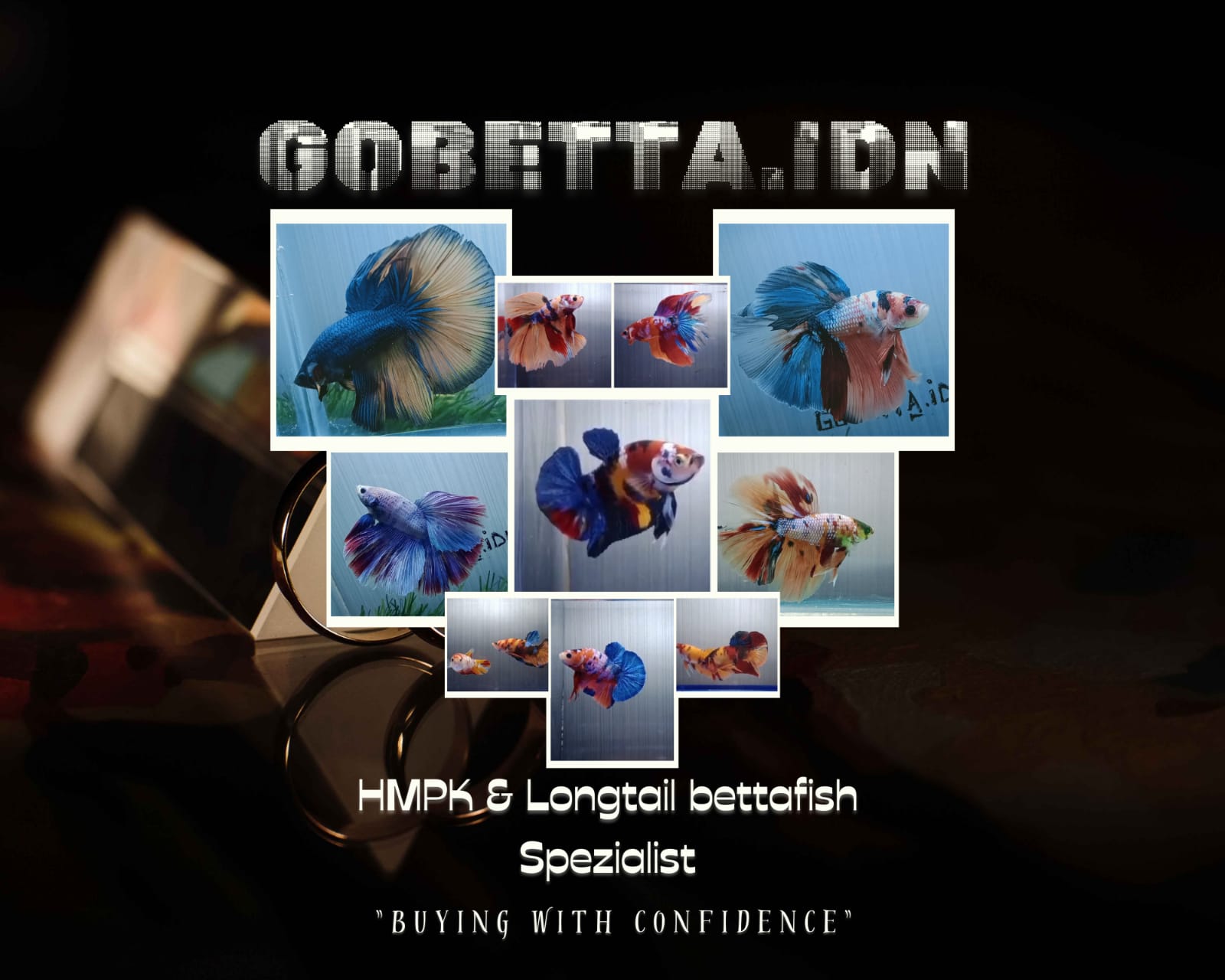 Store: Gobettaidn shop