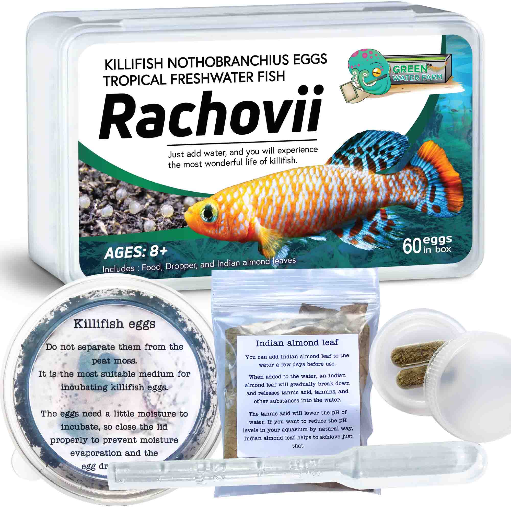 Nothobranchius Rachovii 60 eggs + food