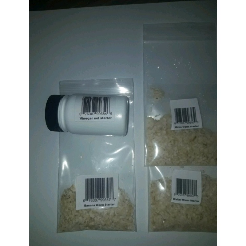Micro worm, walter worm banana worm vinegar eels 2 0z cultures