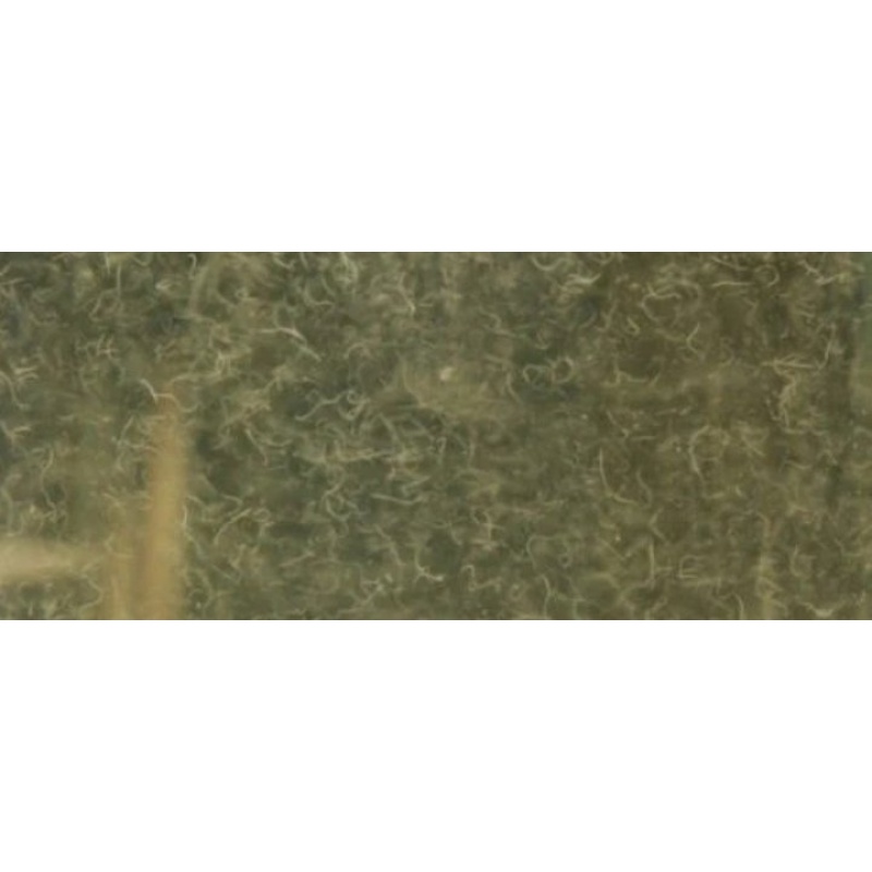 Micro worm, walter worm banana worm vinegar eels 2 0z cultures
