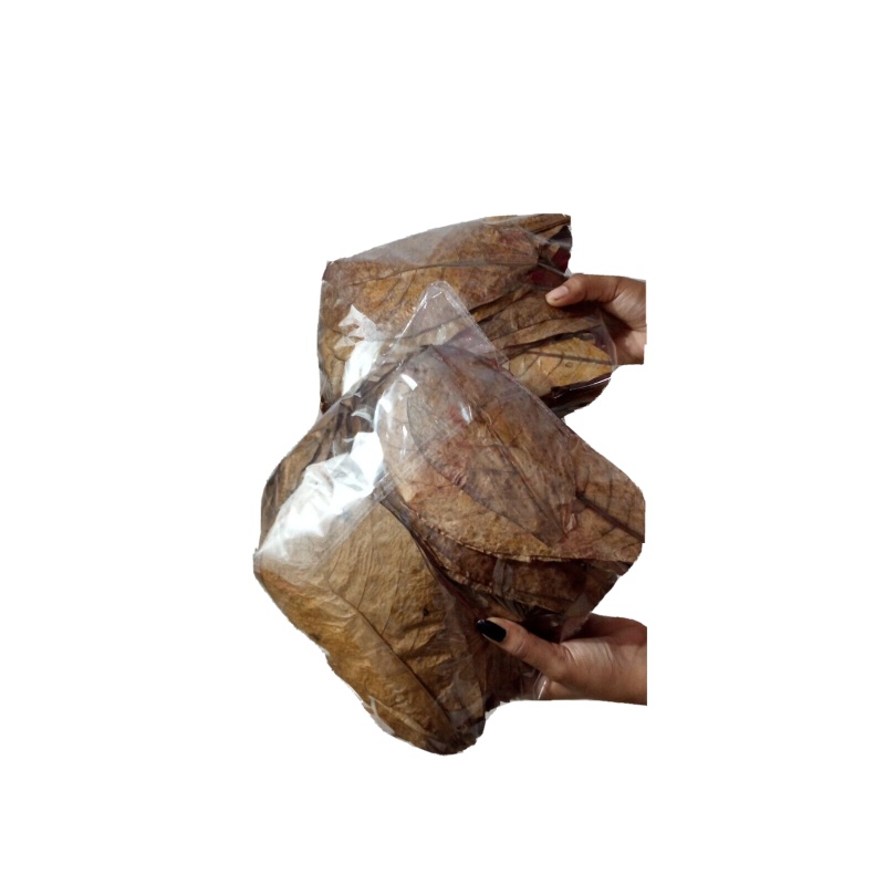 30Pcs almond leaves 5-7''inch catappa indian ketapang leaf A+  Shrimp betta fish aquarium