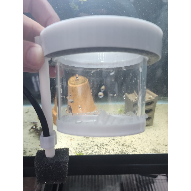 Floating Fry Ring