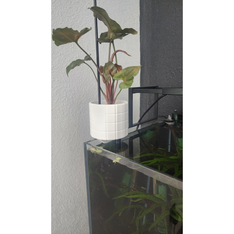 Wicking planter
