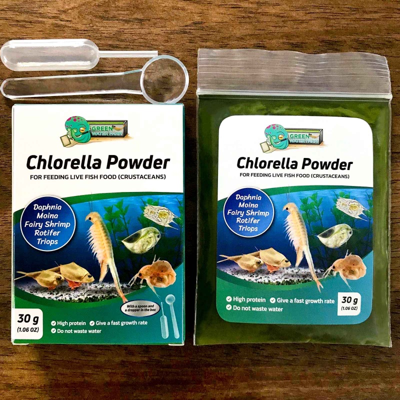 Chlorella Powder