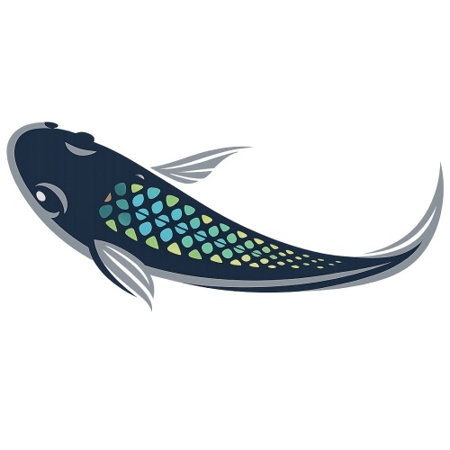 BARCK Aquatics