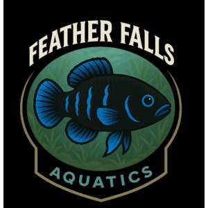 Feather Falls Aquatics