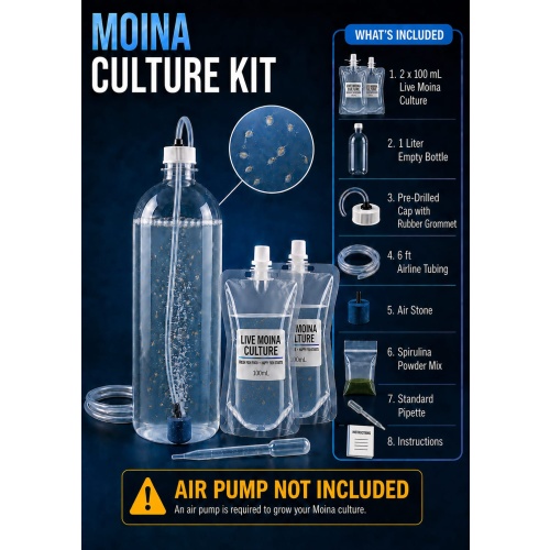 Live Moina Culture Kit Aquarium Fry Food With Spirulina Powder
