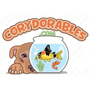 Corydorables