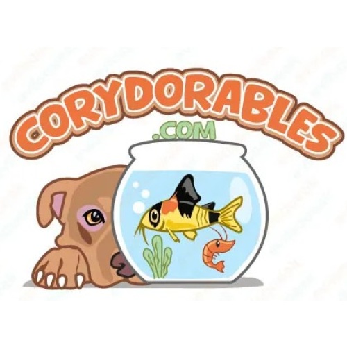 Corydorables