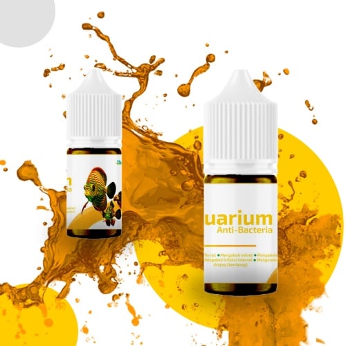 Anti Bacteria Support