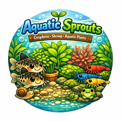 AquaticSprouts
