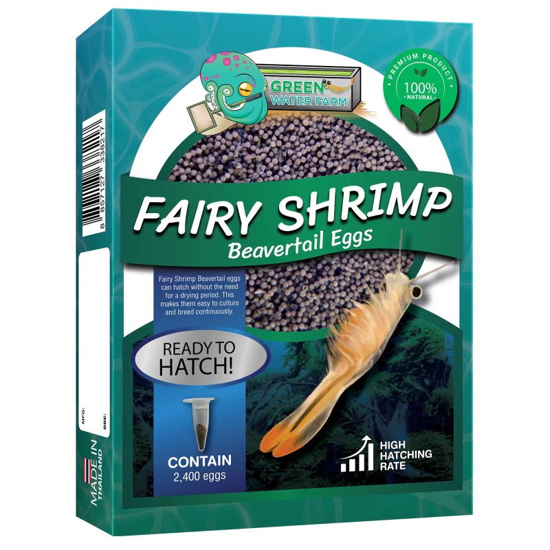 Fairy Shrimp Beavertail Eggs