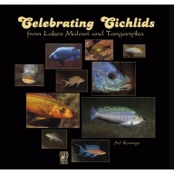 Celebrating Cichlids  from Lake Malawi and Tanganyika by Ad Konings