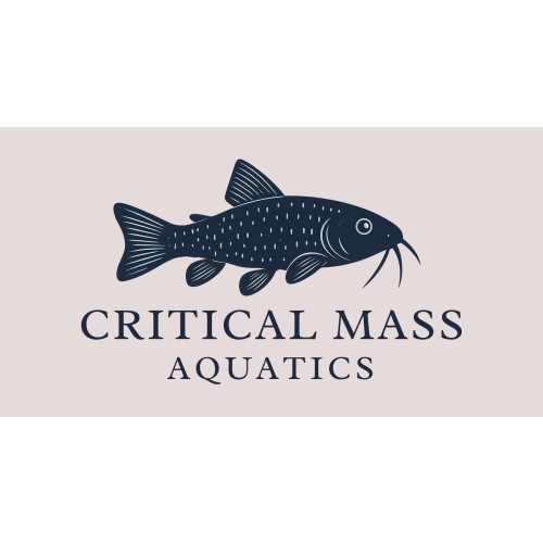 Critical Mass Aquatics