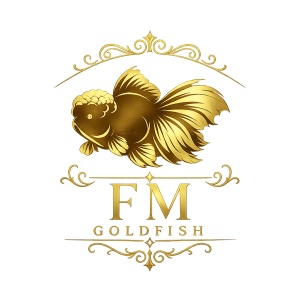 Fancy mania goldfish