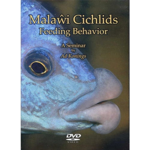 DVD: Malawi Cichlids — Feeding Behavior