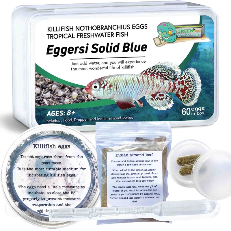 Nothobranchius Eggersi Solid Blue 60 eggs + food