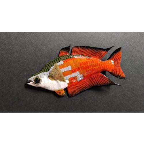 Mel. parkinsoni male Polymer Clay Sculpture Magnet