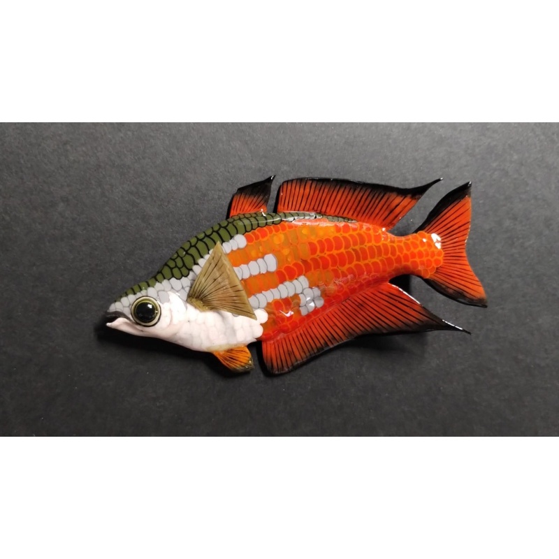 Mel. parkinsoni male Polymer Clay Sculpture Magnet