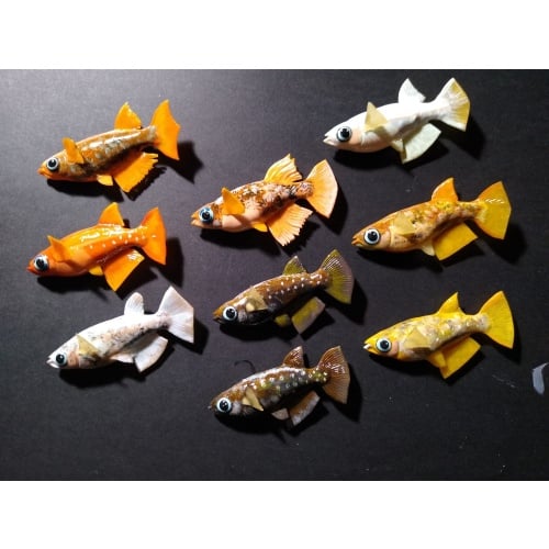 Japanese Medaka Ricefish Polymer Clay Fish Magnets